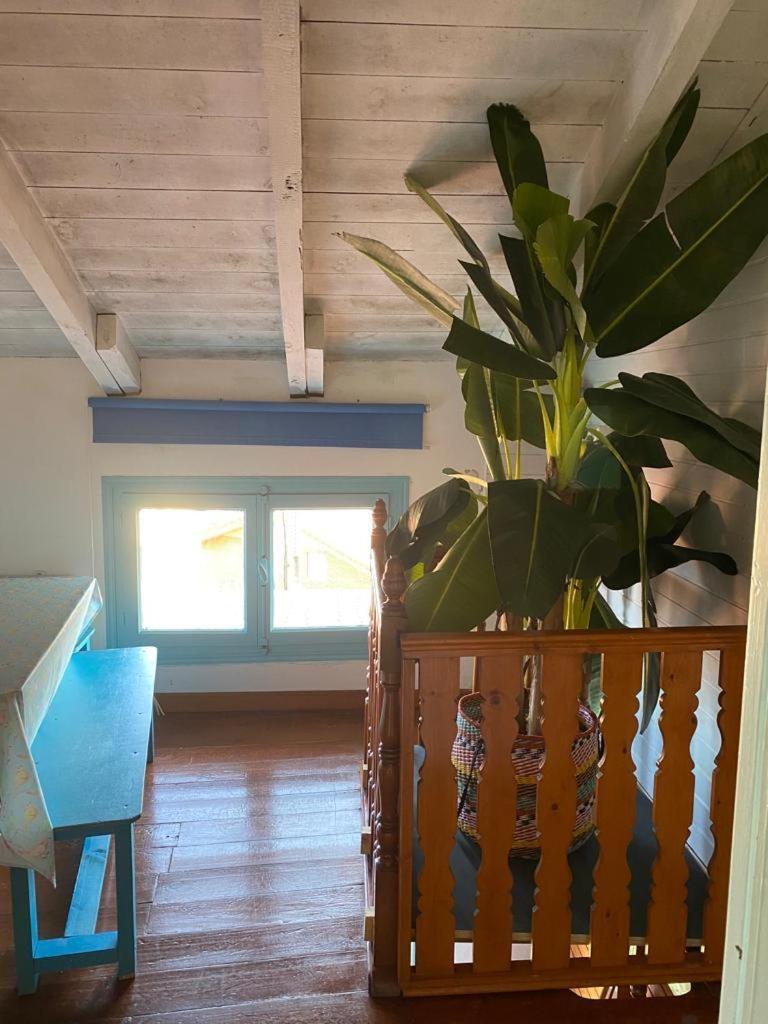 Madera Y Mar Διαμέρισμα Isla Plana Εξωτερικό φωτογραφία